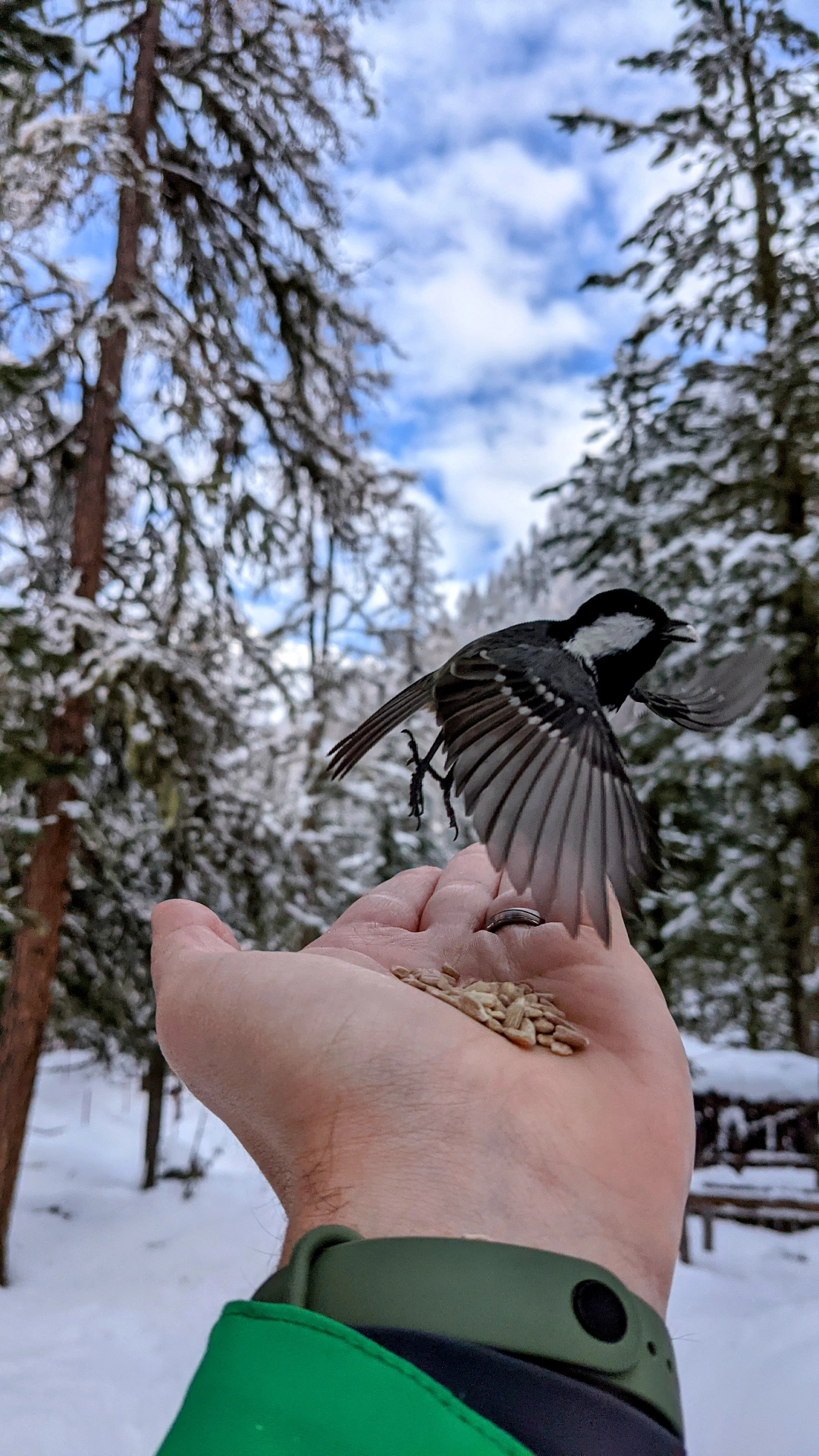 IMG 20211115 120238 211