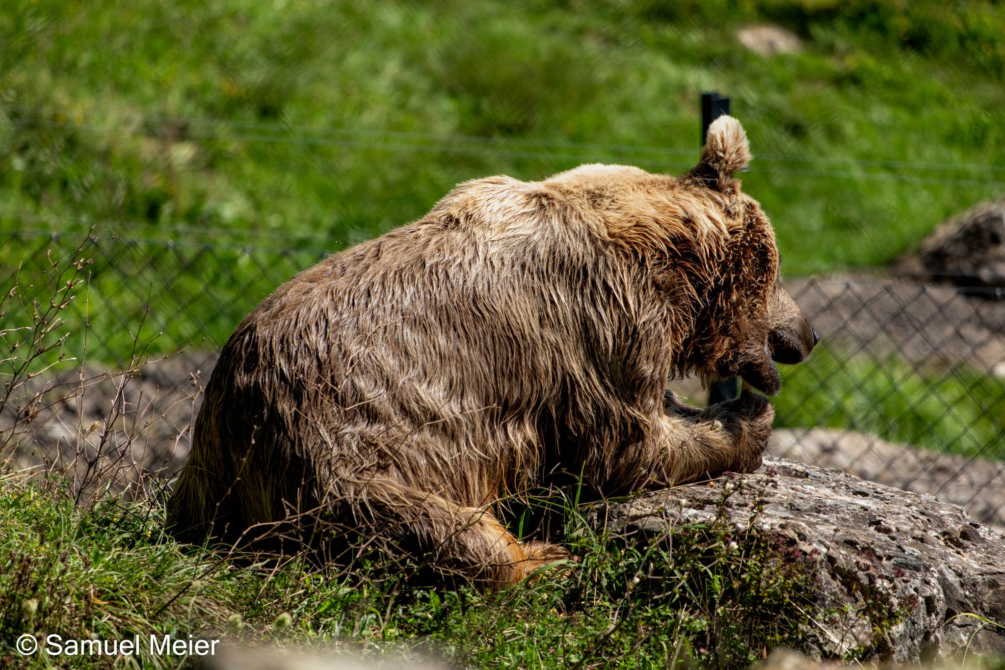 2022 TierparkGoldau 104