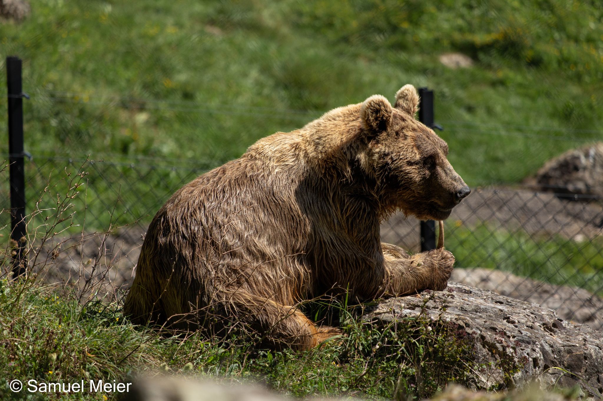 2022 TierparkGoldau 105